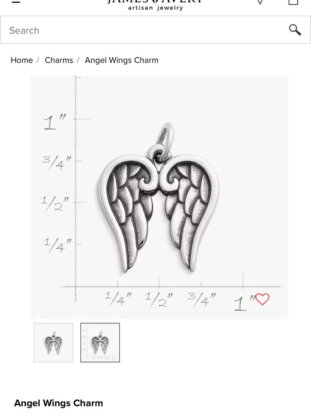 Angel wings Charm